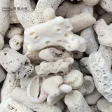 Коралловый высококачественный аквариум
