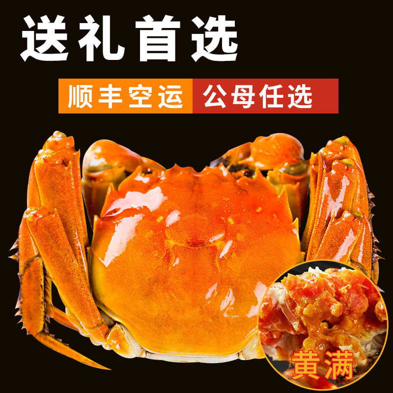 活蟹苏州精品官方阳澄大闸蟹鲜活特大螃蟹公蟹全母蟹4.0现货礼盒,淘宝优惠券,粉丝福利购,淘宝优惠卷