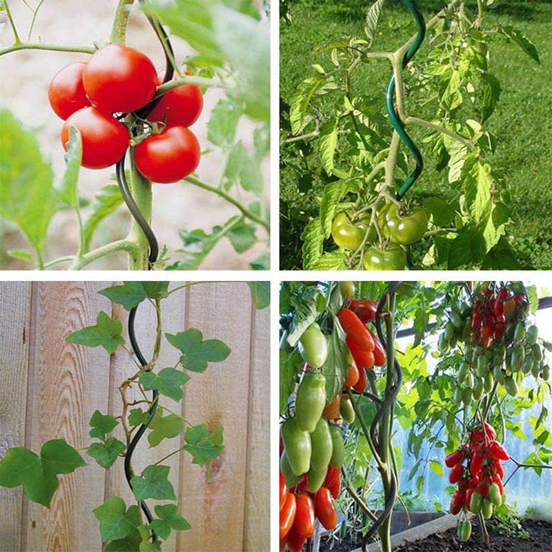 绿植番茄支柱西红柿黄瓜辣椒茄子种植架铁线莲月季爬藤花架盆景架 四季花园用品店 淘优券