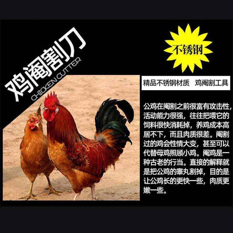 阉鸡工具专业全套阉鸡工具大鸡小鸡阉割刀 公鸡阉鸡刀 阉鸡,淘宝优惠券,粉丝福利购,淘宝优惠卷