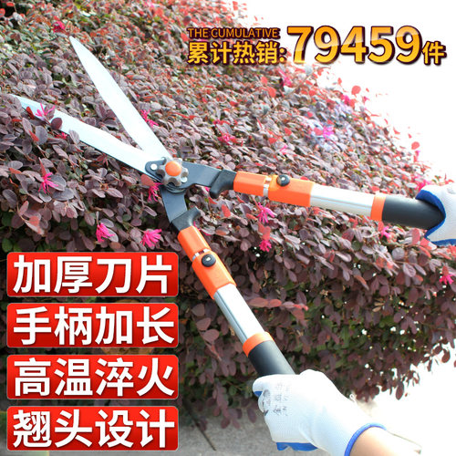 修剪树枝剪刀园艺修花专用茶叶果树剪枝工具园林绿化剪子绿篱剪刀 - 图0