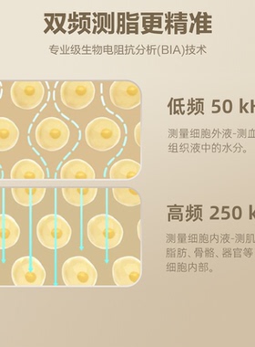 美的无需充电光能体脂秤减肥专用