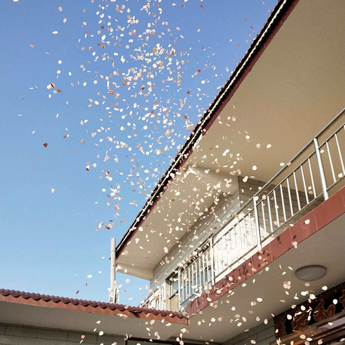 Цветочная артиллерия Свадебная пушка с бочкой портативные свадебные подарок стрелка с вишневой одаренной трубкой шампанское цвето