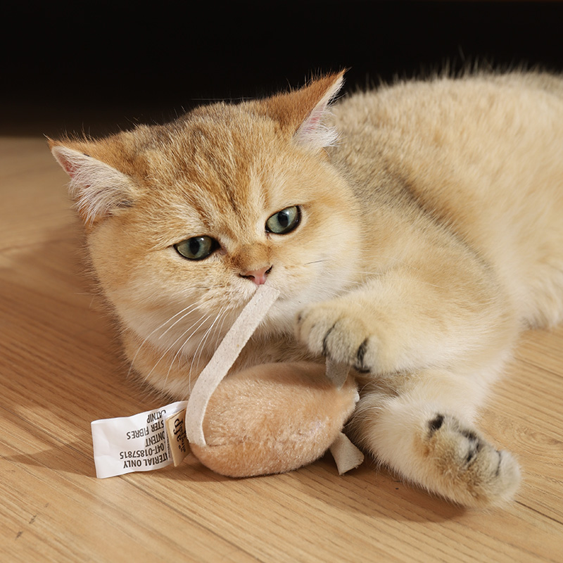  乐乐猫宠物用品逗猫棒