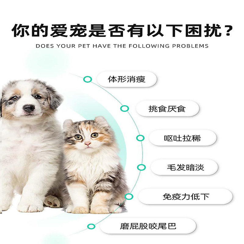 狗狗驱虫药阿苯达唑比熊泰迪金毛小中大型犬体内打虫奥芬达唑猫用,淘宝优惠券,粉丝福利购,淘宝优惠卷