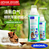 Vic mouthwatering dogs Yikou clear kitty to relieve mouth and teeth to stone pets Oral cleaning can be drinkable