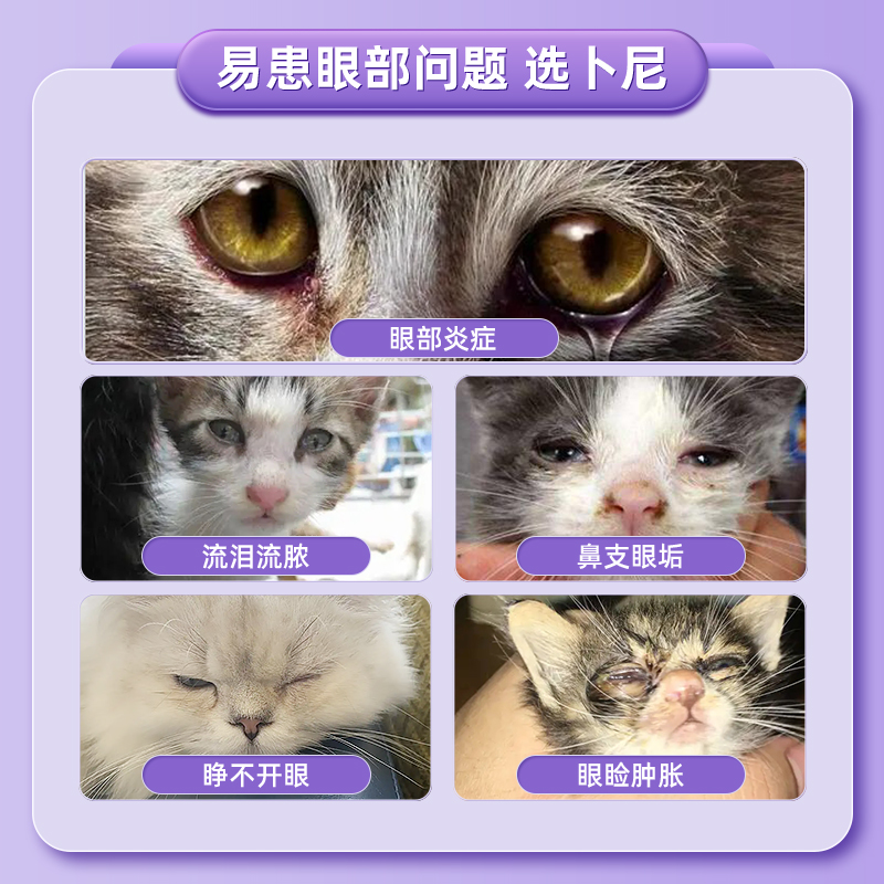 猫咪滴眼液眼睛发炎流泪流脓猫用消炎药去狗狗防泪痕猫鼻支眼药水 - 图1