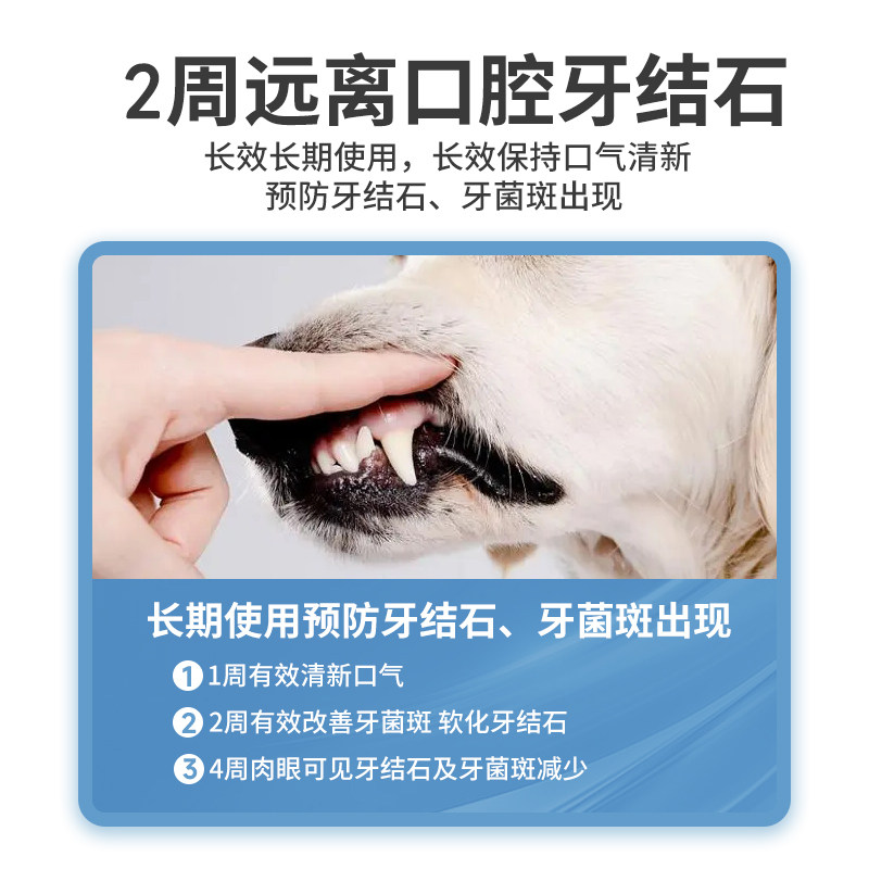  乐乐猫宠物用品口腔清洁