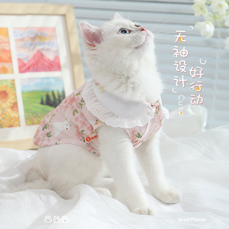 猫咪衣服防掉毛薄款夏天布偶猫服装春秋小猫宠物猫猫幼猫夏季背心,淘宝优惠券,粉丝福利购,淘宝优惠卷