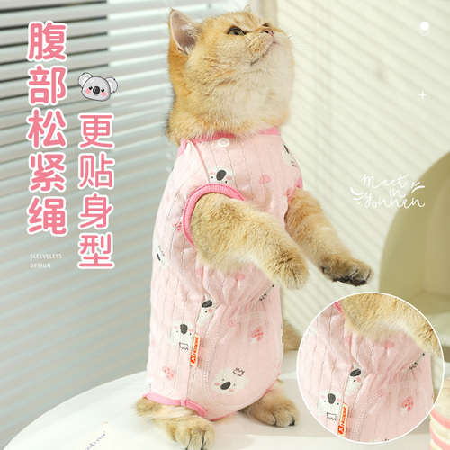 猫咪衣服防掉毛夏季薄款的布偶猫小猫宠物幼猫断奶猫猫夏天护肚衣