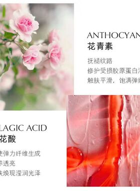 红石榴套装正品旗舰店官方六件套