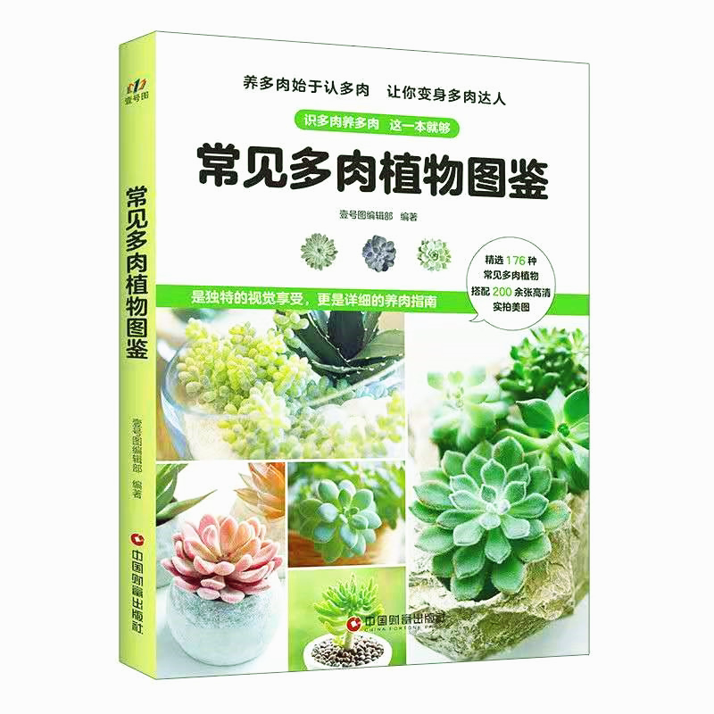 常见多肉植物 新人首单立减十元 21年8月 淘宝海外
