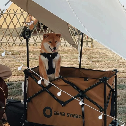 Дорожный кемпер фургон, складной чемодан для кемпинга, прицеп, тележка