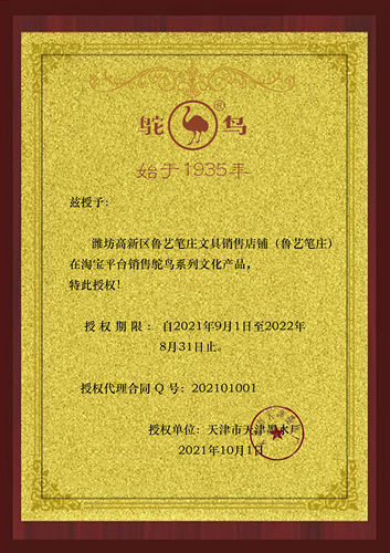 1瓶包邮国货可擦蓝鸵鸟5系钢笔墨水55 552 553 555碳素黑蓝黑正品 - 图2