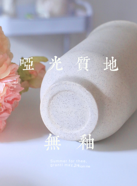 陶瓷花瓶北欧简约客厅装饰插花器可水养鲜花高级感摆件