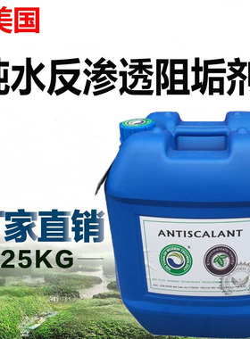 阻垢剂RO膜专用东晟反渗透系统