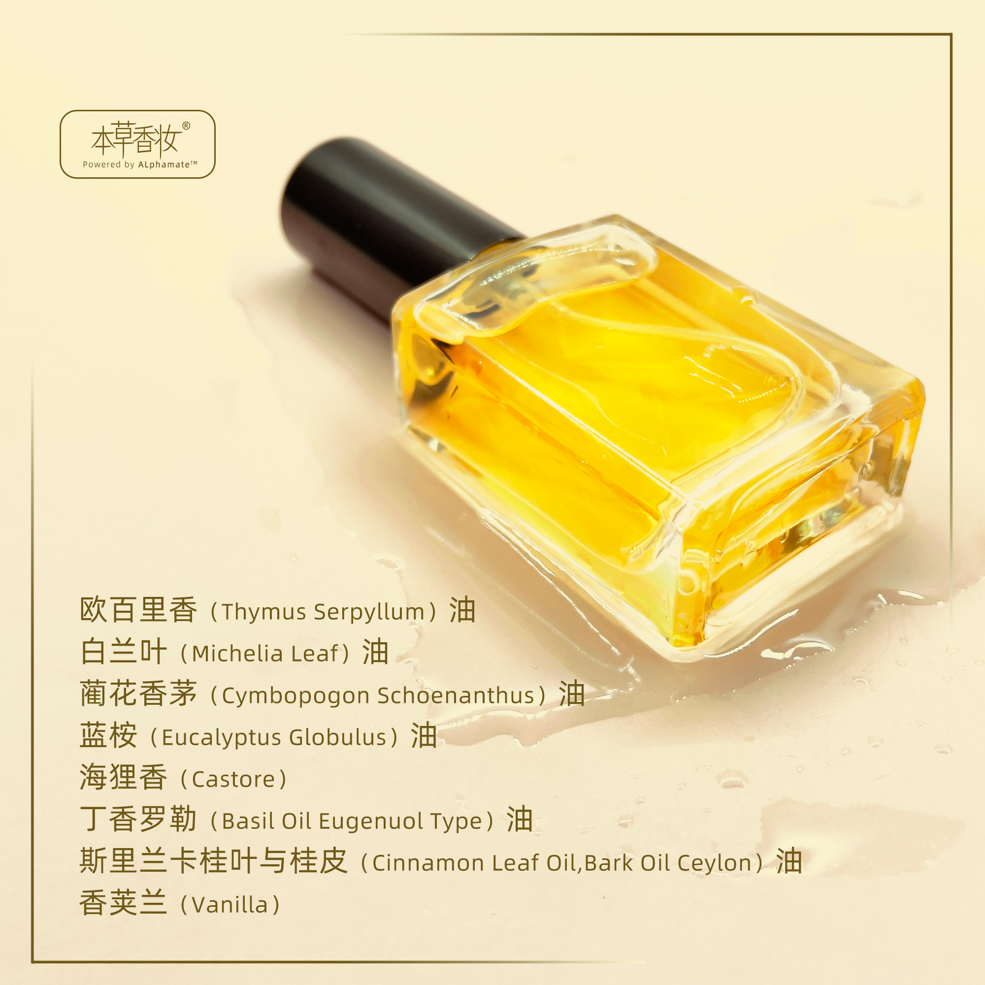 香水本身也是一种自恋的物品 10ML 找寻属于你的味道 - 图2