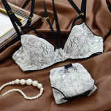 Ультратонкий прозрачный бюстгалтер, нижнее белье, тонкий комплект, сексуальный кружевной ремень, трусы