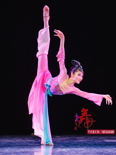 桃李杯古典舞蹈服女簪花记演出服装古风飘逸民族舞胶州秧歌扇子舞 - 图1