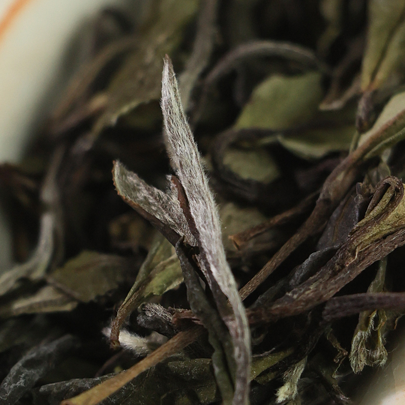 荒野蜜韵牡丹散茶2015-2019白牡丹福鼎白茶洁癖大姐66 - 图1