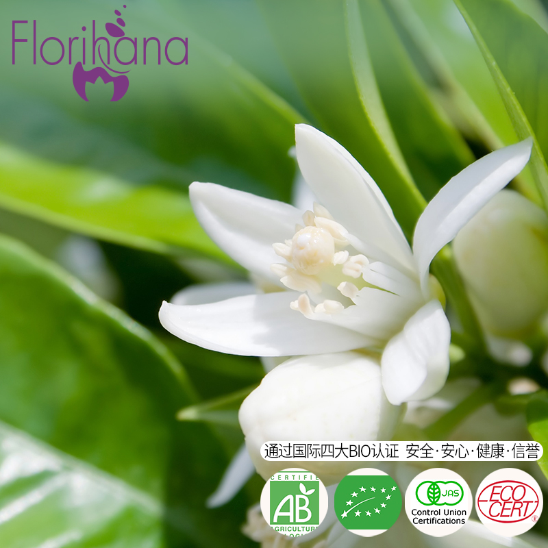苦橙橙花精油单方提亮肤色提拉紧致去黑眼圈女揉按全身 Florihana 苦橙橙花精油单方提亮肤色提拉紧致去黑眼圈女揉按全身 Florihana