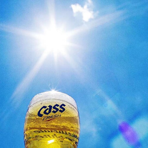 韩国原装进口啤酒 CASS啤酒凯狮啤酒原味500ml易拉罐 炸鸡伴侣 - 图1