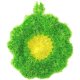 Korea imported scouring pad, flower acrylic fiber dish towel, kitchen soft decontamination rag