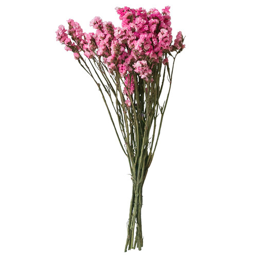 勿忘我干花真鲜花树枝艺术插花干枝diy客厅小清新装饰永生花束 - 图3
