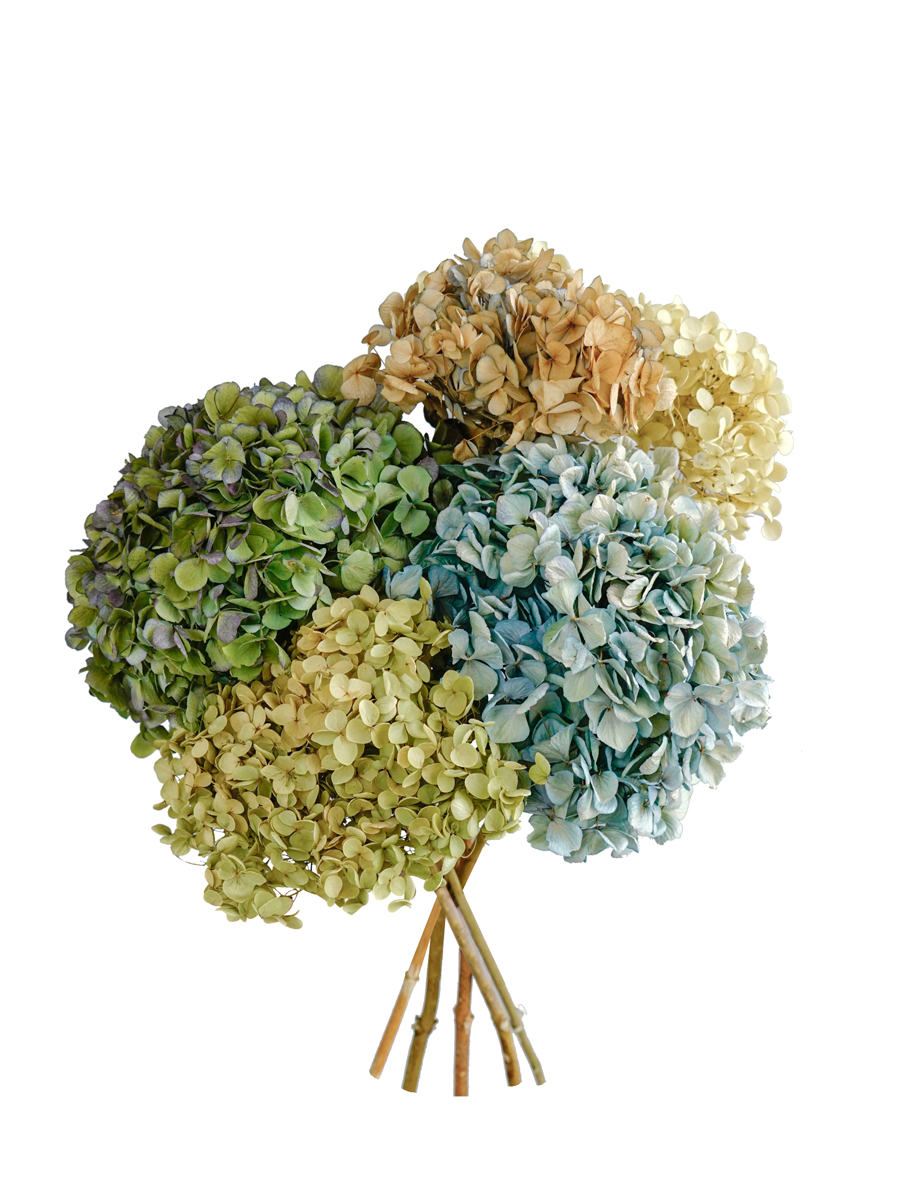 北欧日式天然插花搭配家居软装饰品艺术摆件自然绣球干花配饰永生,淘宝优惠券,粉丝福利购,淘宝优惠卷