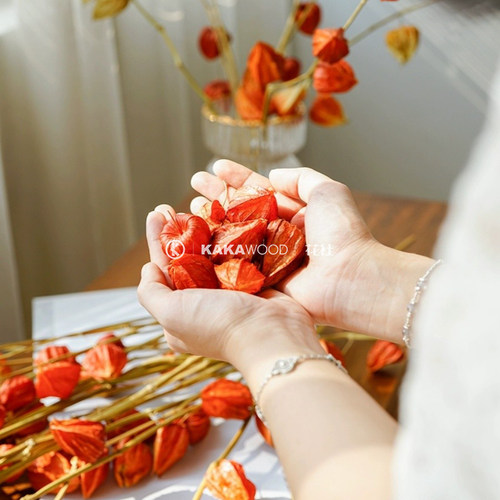 纯进口酸浆果灯笼果插花植物果实配果红果子天然干花干果家居设计 - 图1