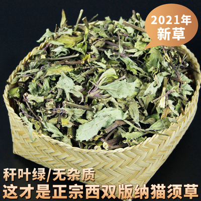 酸降茶化石草猫须草天然肾茶排酸降酸茶补品500养生排酸茶调理