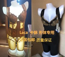 Medium Veins LACA Body Interior Clothing Model Light Modeling Inside Clothes Model Bra Lamp Model LED Light Display Underwear