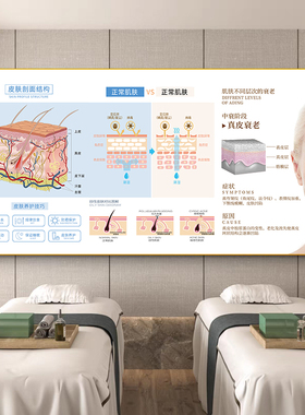 皮肤管理医美诊室宣传挂画美容院墙面广告画结构剖面分析图装饰画