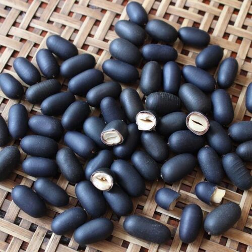 双肾子 石莲子 铁莲子 苦石莲菩提子500g正品另有阴阳子风流果 - 图0