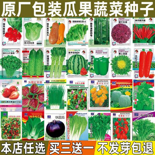 蔬菜种子大全四季阳台盆栽生菜黄瓜西瓜香菜韭菜豆角庭院菜籽种孑 - 图0