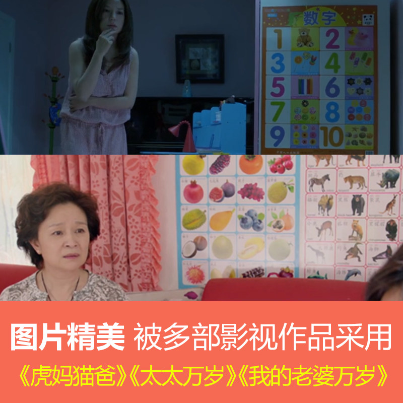 婴幼儿童启蒙看图识字无声宝宝挂图 远图量子母婴玩具挂图/认知卡