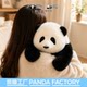 Panda Factory ໂຕຕຸ໊ກກະຕາໝີແພນດ້າຈຳລອງຫົວຫົວອາຍຸ 5 ເດືອນ