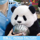 Panda Factory Official Yu Xiaoai Simulation Panda Doll