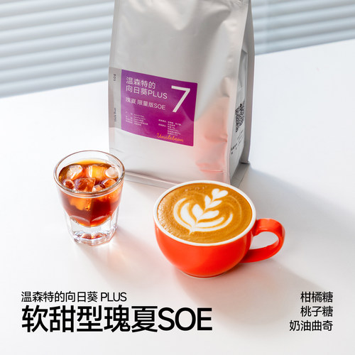 豆叔温森特的向日葵PLUS瑰夏SOE单品咖啡豆新鲜深烘焙意式可磨粉 - 图2