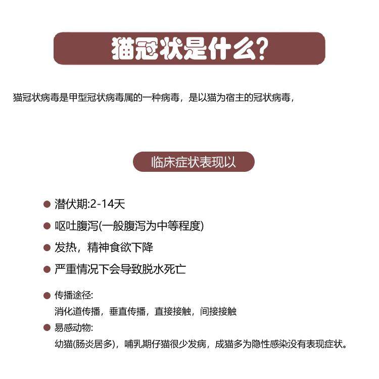 治疗猫瘟热套餐猫药物幼猫细小抗体小猫咪单抗病毒瘟毒干扰素药品