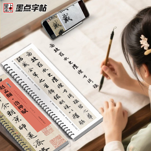 赵孟頫洛神赋近距离临摹字卡 碑帖 赵孟俯字帖行书毛笔字帖历代碑帖临摹本毛笔书法教程新华书店正版毛笔字初学入门赵孟俯洛神赋 - 图0