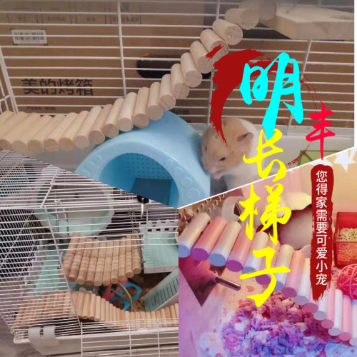 金丝熊仓鼠梯子栈道爬梯楼梯拱桥芦丁鸡围栏攀爬玩具原木质软梯子 - 图0