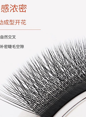 MD三叶草0.05嫁接假眼睫毛柔软