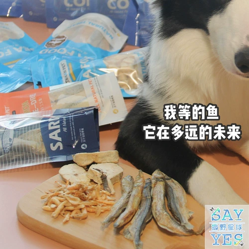 Рыбак -рыбак на ранчо Ранчо замороженные Смохрома Фосфор домашние животные Pets Deep Sea Fish Cat Snack