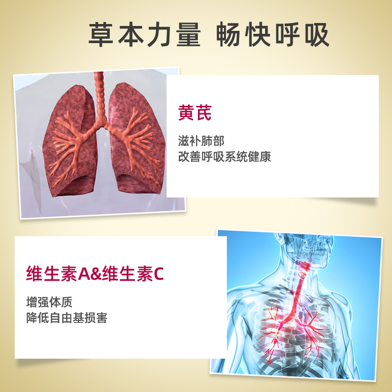 thejamy保健海外专营店澳洲Swisse斯维诗肺动能片清肺片清肺护肺润肺养肺肺部保健品*2瓶2