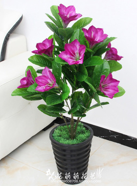 室内兰花仿真植物特价