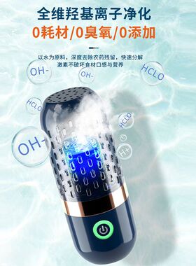 果蔬清洗机家用神器食材净化器水果蔬菜杀菌消毒除农残厨房洗菜机
