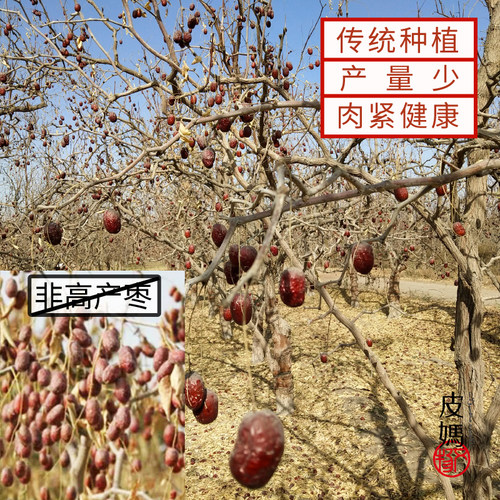 足干红枣兵团若羌灰枣特级大枣树上吊干枣带土原生态散装包邮 - 图1