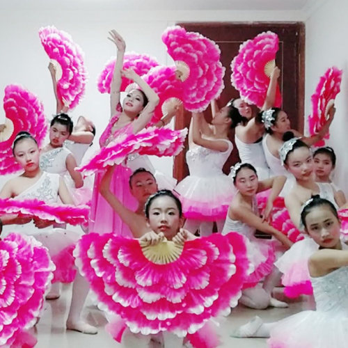 广场舞蹈牡丹花扇大花瓣舞蹈扇广场舞团体操活具舞台演出儿童扇 - 图0
