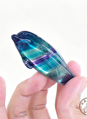 天然七彩萤石海豚雕刻件长约8cm 彩虹萤石水晶动物摆件 礼物礼品